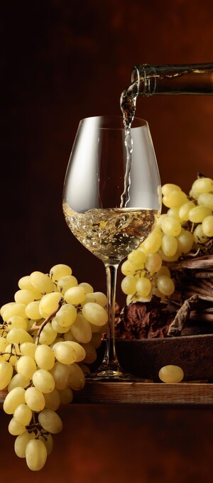 N&aacute;pojov&yacute; l&iacute;stek